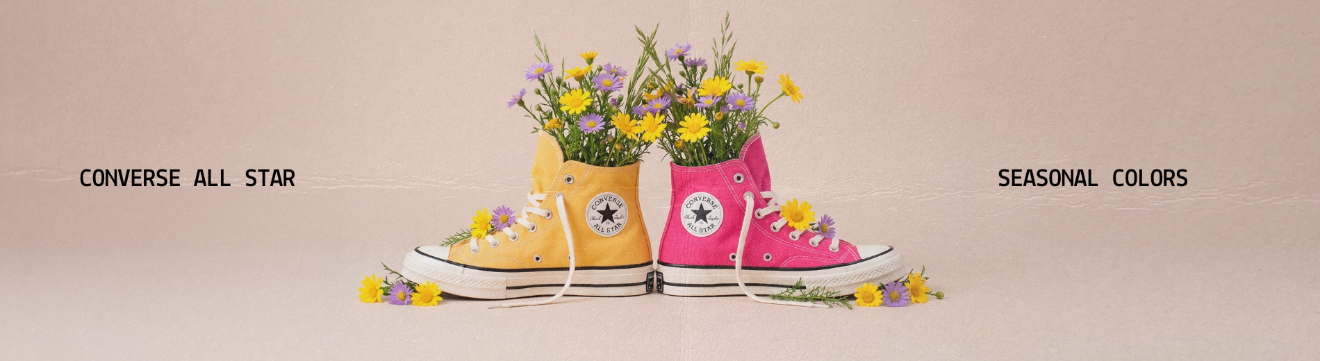 All Star Seasonal Colors